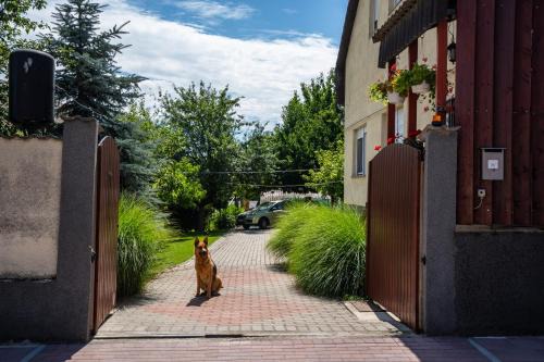 Paks Apartment | Muskáti apartman.Hunyadi.ut.6.sz.