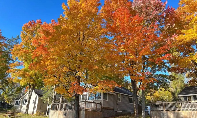 Muskoka Lakes Cottage | Muskoka Cottage Minutes From Bala