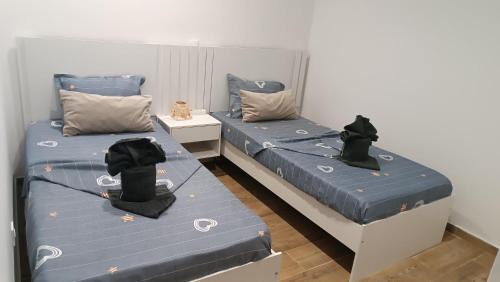 Sal Rei Apartment | My Boavista 2