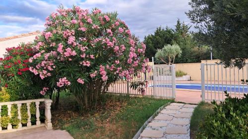 Villalbe House | My Quiet Place near Carcassonne