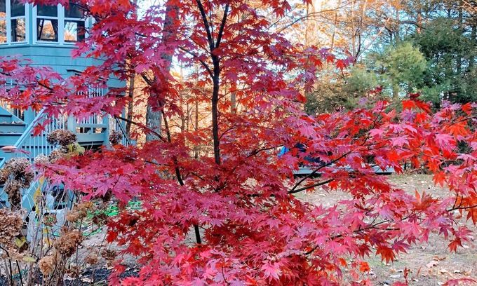 West Simsbury House | Nature House Water View Large Deck 2 story Gazebo 2 bed 2 bath