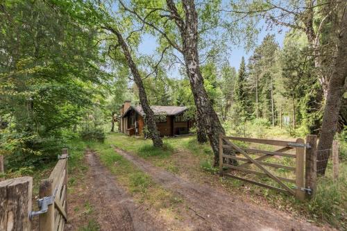 Frederiksvaerk House | Nature, tranquility, and coziness