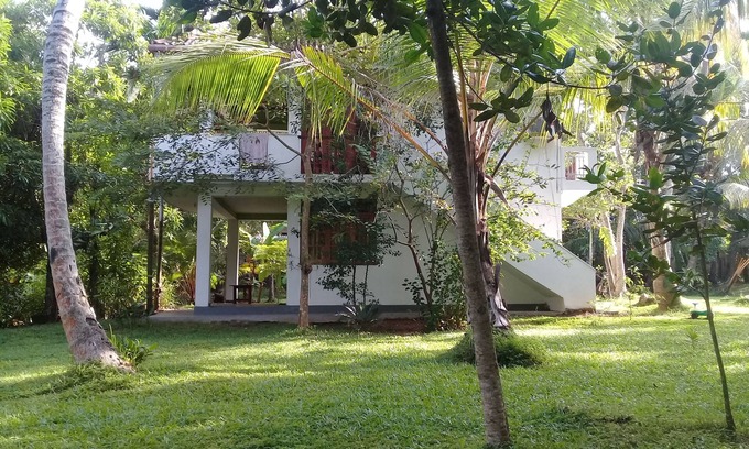 Hikkaduwa Villa | Nature Villa Yasmin Set On The Large Garden Enjoy Seat And Seen Wild life Wild