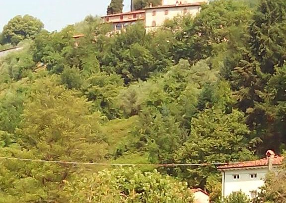 Borgo a Mozzano Apartment | Nel Colle