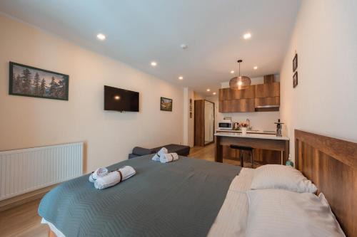 Dusheti Apartment | New Gudauri Apartment Loft 2 N332