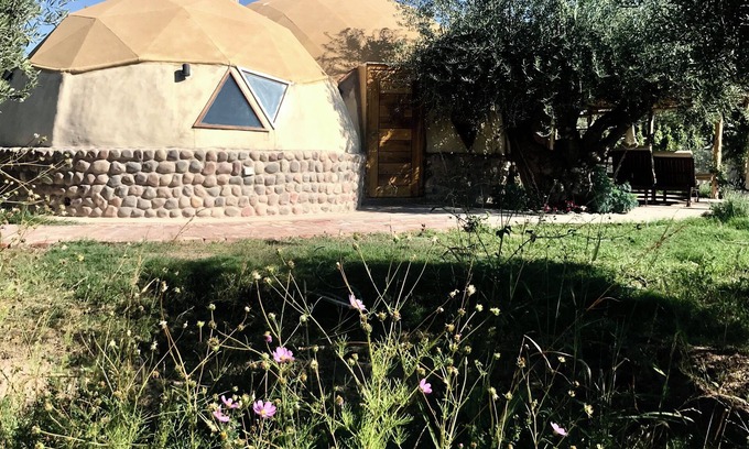 Cuyo Other | NEW LISTING! Exotic Dome on Organic Farm near top wineries.