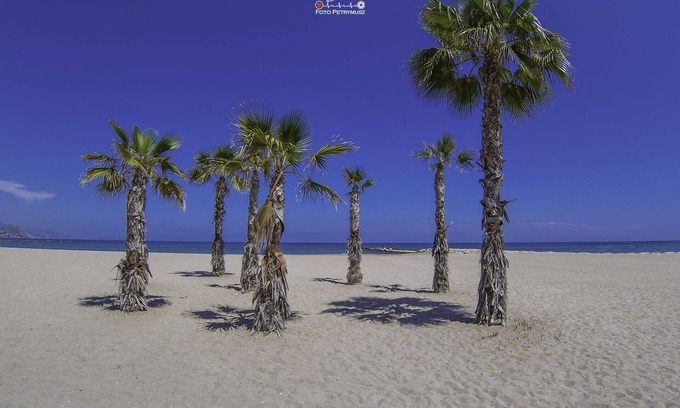 Coveta Fuma Apartment | NEW LISTING - Luxury Apartment 50 Meters From the Beach with SKY TV - WIFI