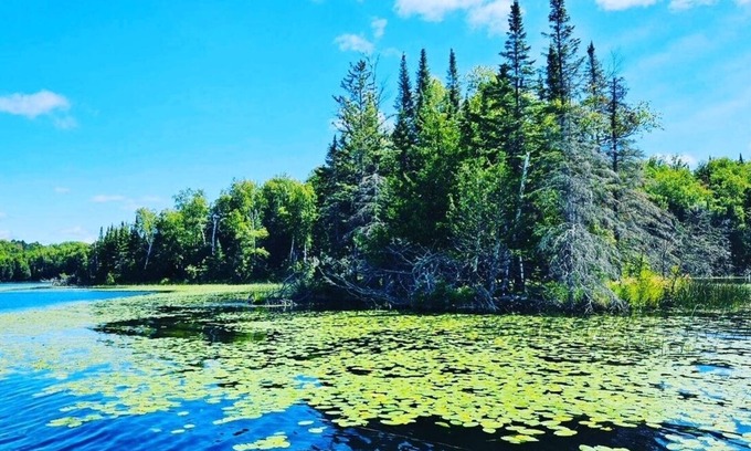 Marcell Cabin | NEW Listing! Restful Lakeside Cabin ~ Resort Amenities!