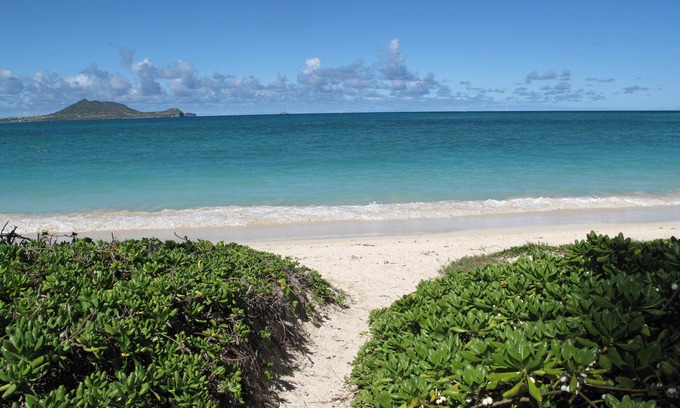 Kailua House | NEW LUXURY REMODEL! 7 NIGHT MIN STAY, STEPS TO BEACH, AC, POOL, INQUIRE OPENINGS