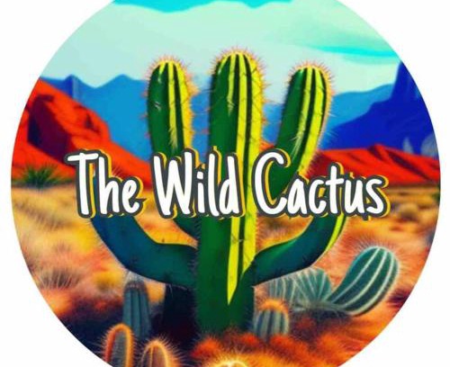 Lubbock House | NEW*The Wild Cactus- Best of LBK w/TennisCourts