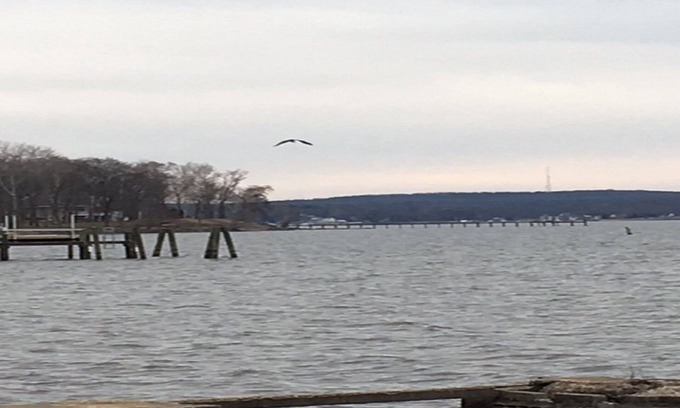 Perryville House | * NEWLY RENOVATED* Escape to a Beautiful Getaway on the Chesapeake Bay