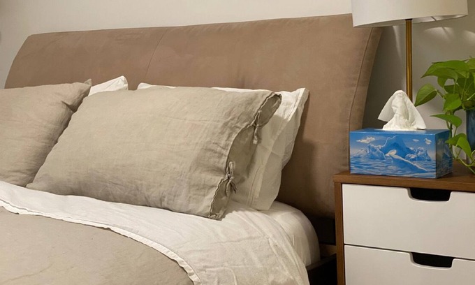 Inner Harbour Apartment | Newly Renovated, IR Compliant Apartment in Downtown Kingston