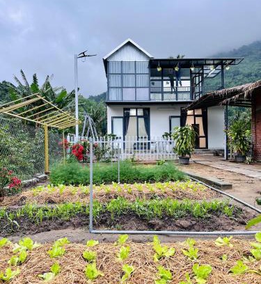 Dong Hoa Cabin | Ngoại Ca Homestay