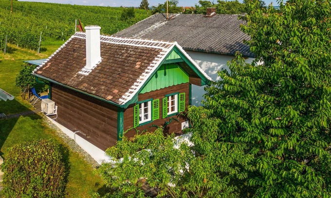 Deutsch Schuetzen-Eisenberg House | Nice home in Deutsch Schützen