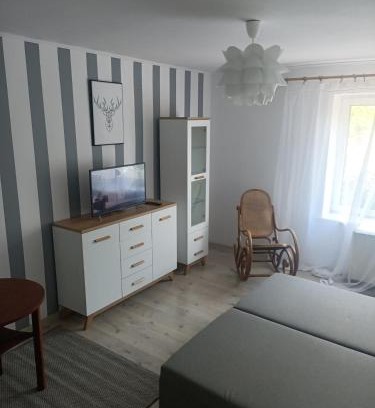 Opole Apartment | Niemodlińska 11 m 2
