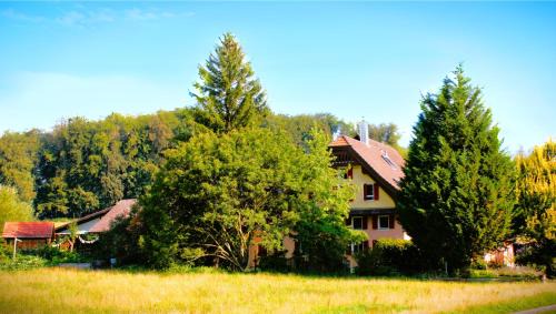 Oberkirch Bed & Breakfast | Nisihof, Abendblick