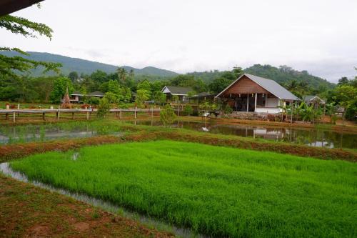 Ban Luang Resort | Nok Chan Mee Na