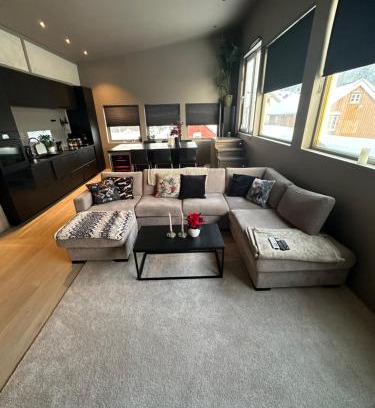 Fannrem Apartment | Ny leilighet med eget treningsstudio under ski-vm i Trondheim