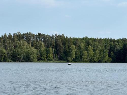 Osie Resort | Ośrodek Stanica Wodna PTTK