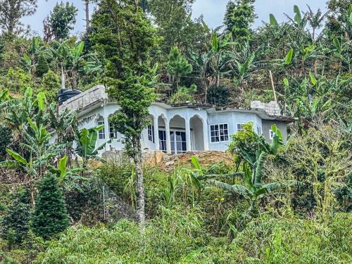 Penlyne Castle Bed & Breakfast | O- T on the rise