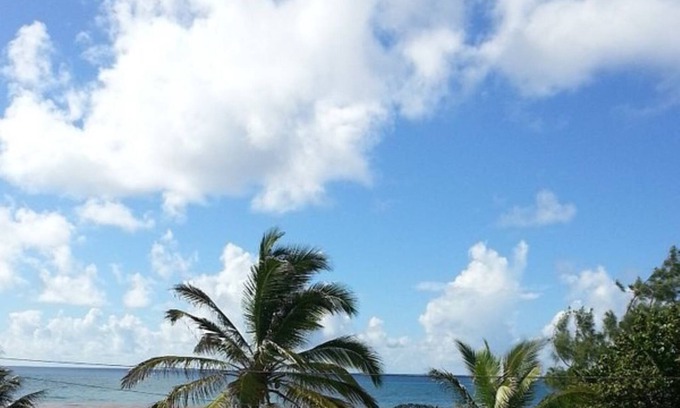 Newton Terrace Condo | Ocean View property in Atlantic Shores on the South Side of the Island.