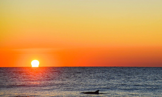 Folly Field Condo | Oceanfront condo w/free WiFi, balcony, shared pool & tennis court, & private W/D