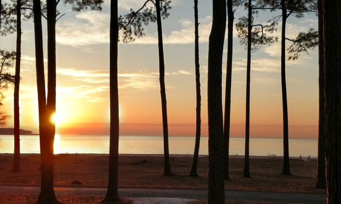 Melrose on the Beach Cottage | OCEANFRONT with Golf cart & Amenity Access