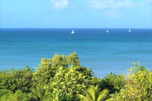 Choc House | Oceanview Marisule Ridge