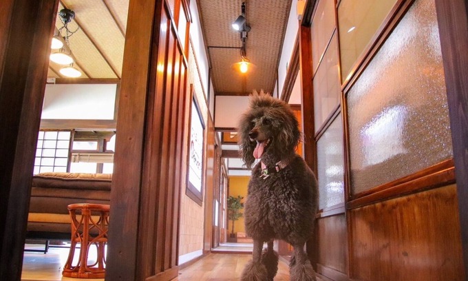 Ochi-gun House | Old folk house with dog run/Imabari Ehime