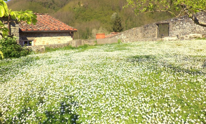 Nozanno House | Old mill in Tuscan countryside with pool and views just 30 minutes from Lucca