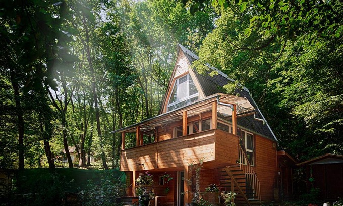 Kismaros House | Olive Tree Forest Cabin Original