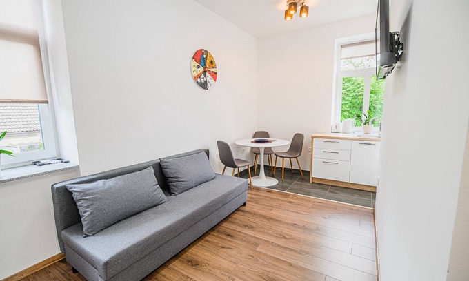Brezice Apartment | One Bedroom Apt With Sofa Bed 3