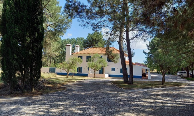 Alcacer do Sal Apartment | One-Bedroom Suite
