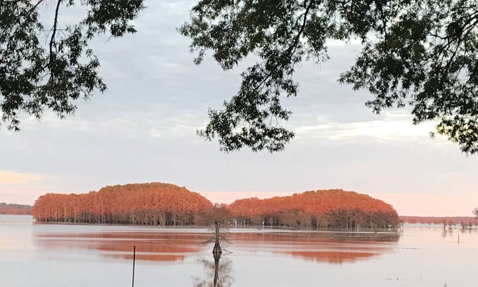 Karnack House | One-of-a-Kind Caddo Lake Retreat with Spectacular Waterfront Views