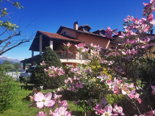 Front Apartment | Orto del pettirosso
