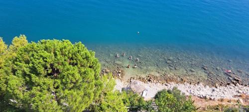 Kiveri Apartment | Ostria Linamare
