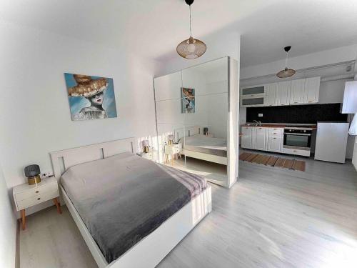 Otopeni Apartment | Otopeni Studio C1 3 Airport Therme