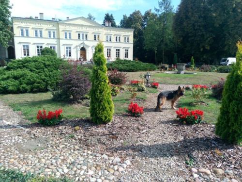 Kwilcz Resort | Pałac Kwilecki -AGROTURYSTYKA PREMIUM & SPA
