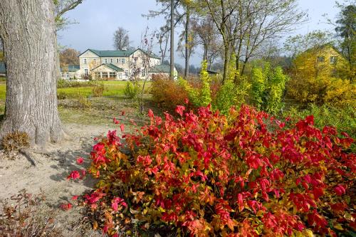 Grunwald Bed & Breakfast | Pałac Pacółtówko