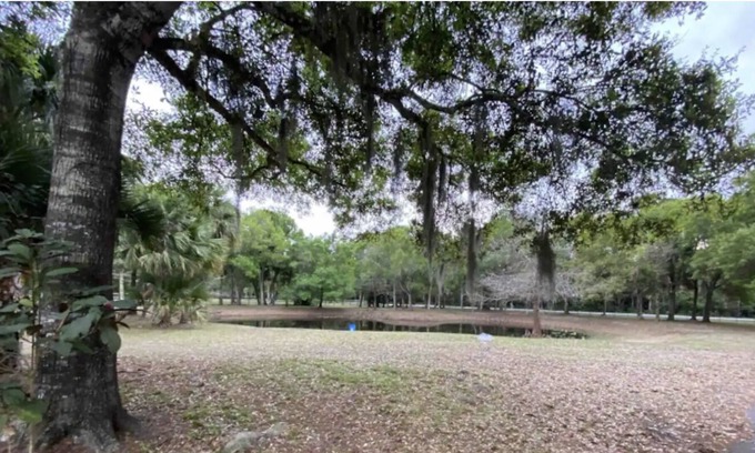 Palm City House | Palm Retreat - Large home with pool, hot tub, volleyball