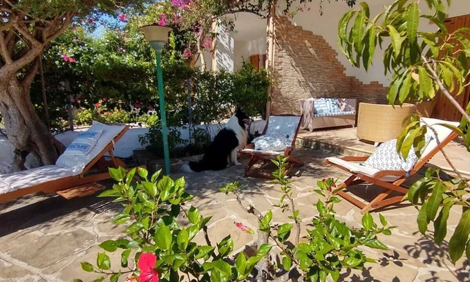 Cala Gonone Apartment | Panoramic, Independent by the sea direct access to the beach