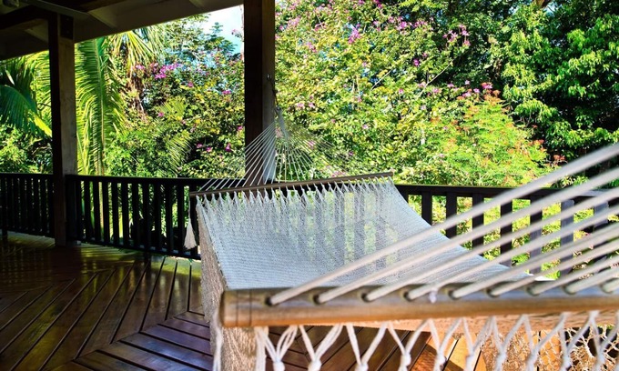 Punta Gorda Resort | Panoramic Jungle View Suite w/Private Veranda, Infinity Pool, & WiFi