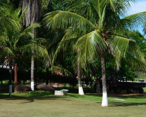Visconde de Taunay Bed & Breakfast | Pantanal Ranch Meia Lua