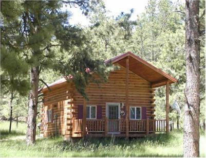 Custer House | Papoose