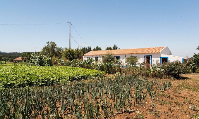 Santiago do Cacem Other | Peaceful animal farm with stunning starlit sky
