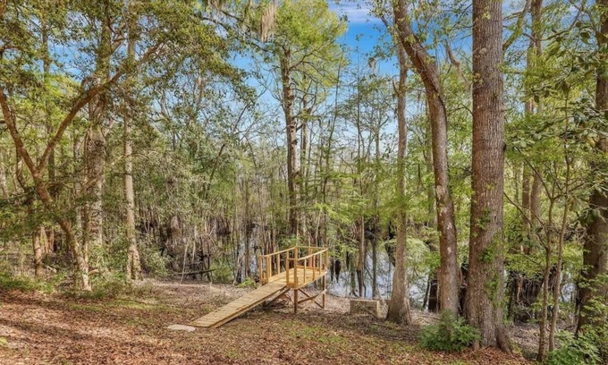 Pineland Cabin | Peaceful Cabin @ Ebenezer Creek