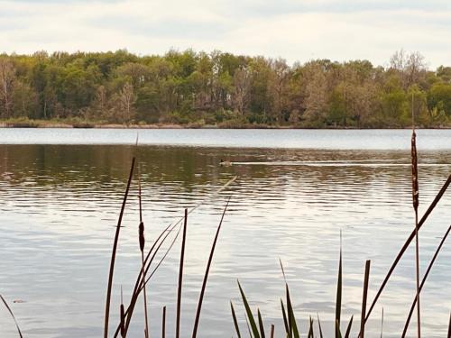 Deedsville House | Peaceful home right on the lake!