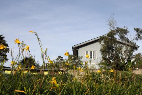 Nuwara Eliya House | Pedro View Homestay