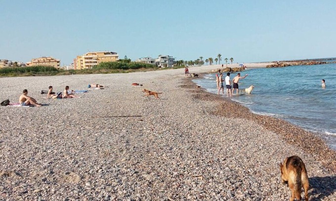 Moncofar Apartment | Pensión Benavente. 1 - (Playa 1,5km/AP7-3min)