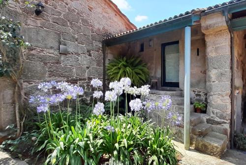 Palas de Rei House | Pension Do Picho